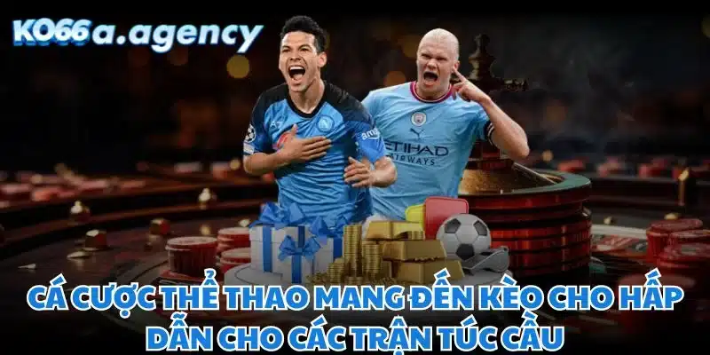 Cá cược thể thao mang đến kèo cho hấp dẫn cho các trận túc cầu