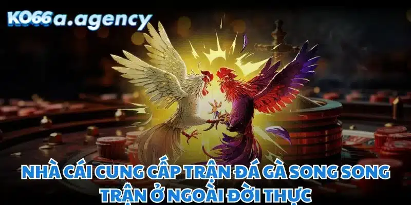 Nhà cái cung cấp trận đá gà song song trận ở ngoài đời thực