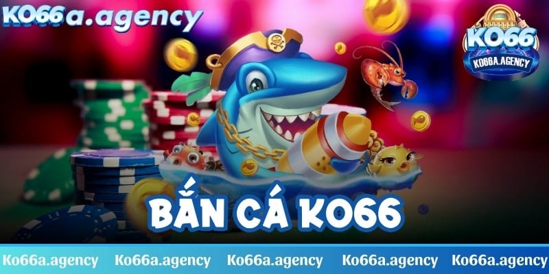 KO66 là gì